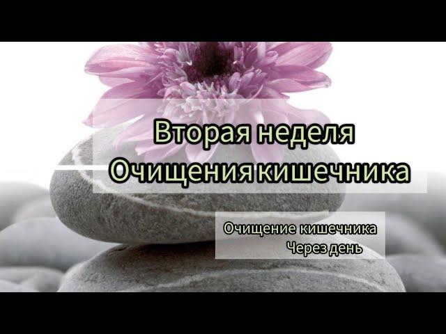 вторая неделя Очищения кишечника схема Очищения через день Пн,Ср,Пят, Воскр.