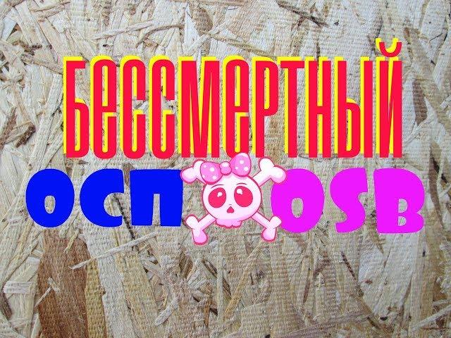 НЕгорючее и НЕгниющее ОСП( OSB)! МИФ или РЕАЛЬНОСТЬ! Большой тест 6-ти  защитных ГРУНТОВ и КРАСОК !