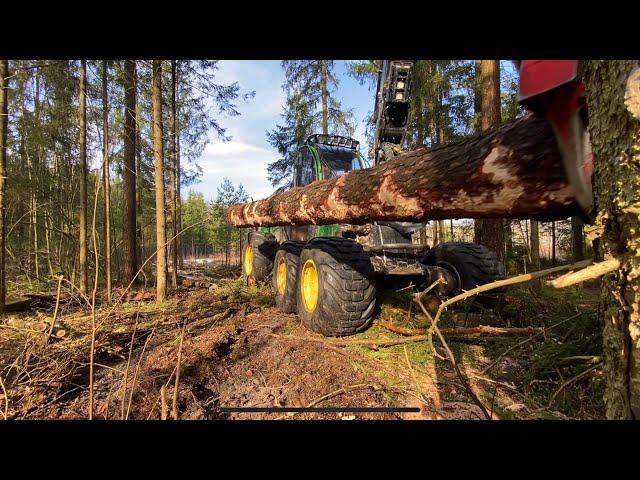 Постепенка по Крупной сосне