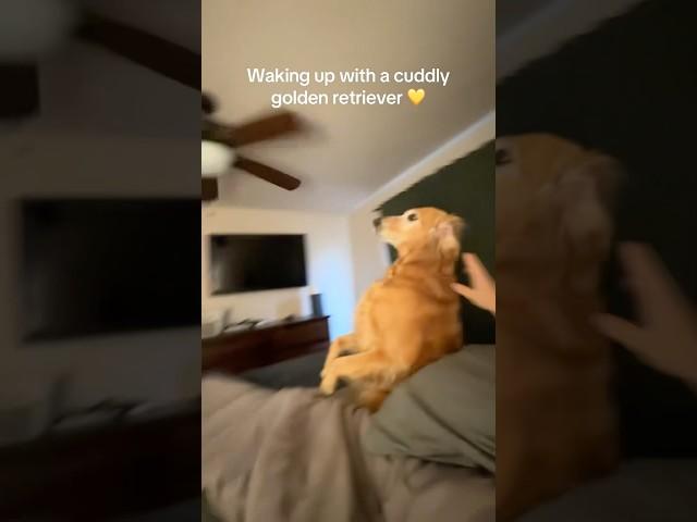 She do the Nala flop