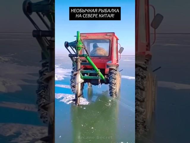 Необычная рыбалка на севере Китая! #2025 #новости #хочуфакты