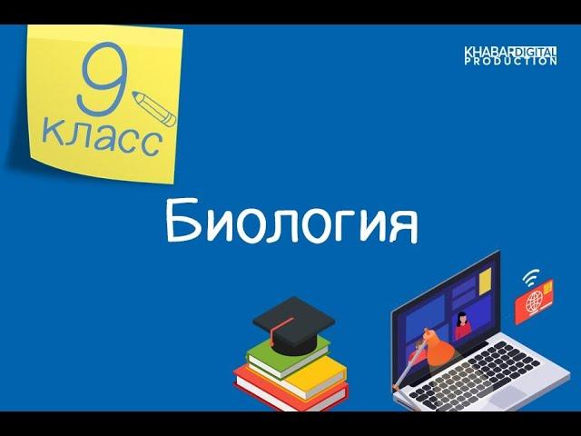 Биология. 9 класс. Строение и функции половой системы человека /02.04.2021/