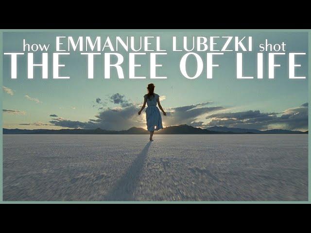 How Emmanuel Lubezki shot The Tree of Life