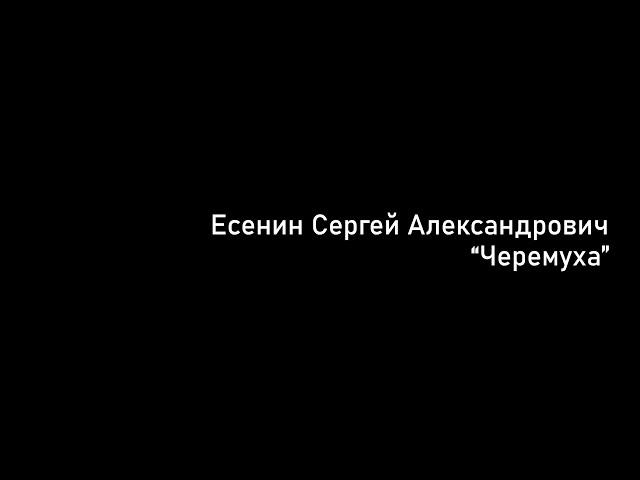 Есенин  "Черёмуха" читает Димитриева Софья 2Вкласс