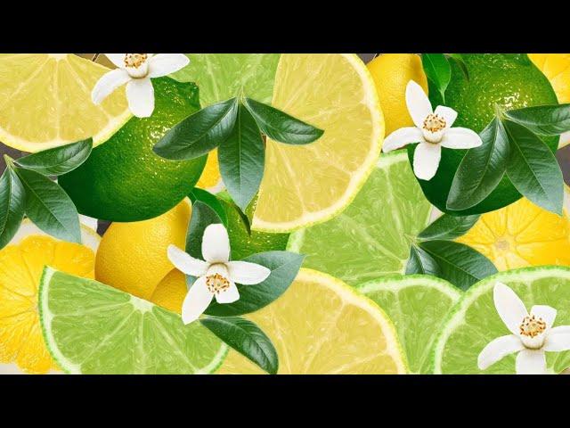 Lemon and Lime (31 шт) Transition ProShow Producer (Example / Sample) / Citrus #1