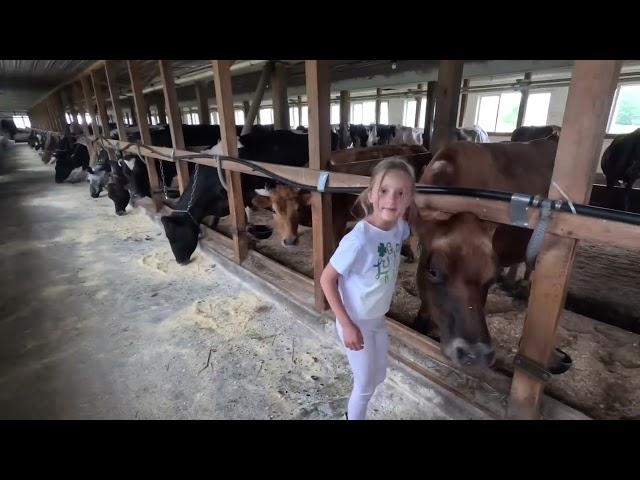 Meet my farm hands!!️ #shorts #cowvideos #cowgirls