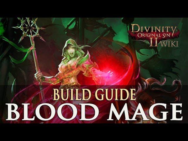 Divinity Original Sin 2 Builds - Blood Mage (Necromancer)