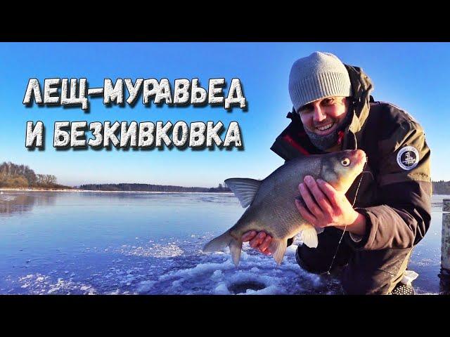 Ловля леща зимой на безмотылку | муравей михеевский и безкивковая удочка