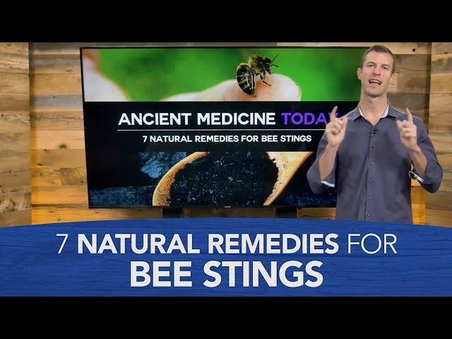 7 Natural Remedies for Bee Stings