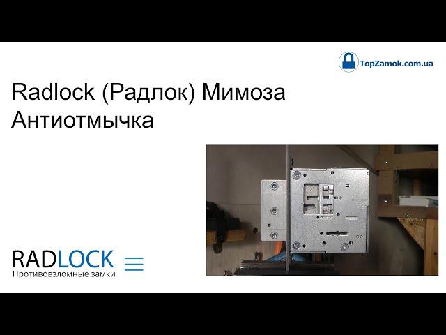 Radlock (Радлок) Мимоза - Антиотмычка