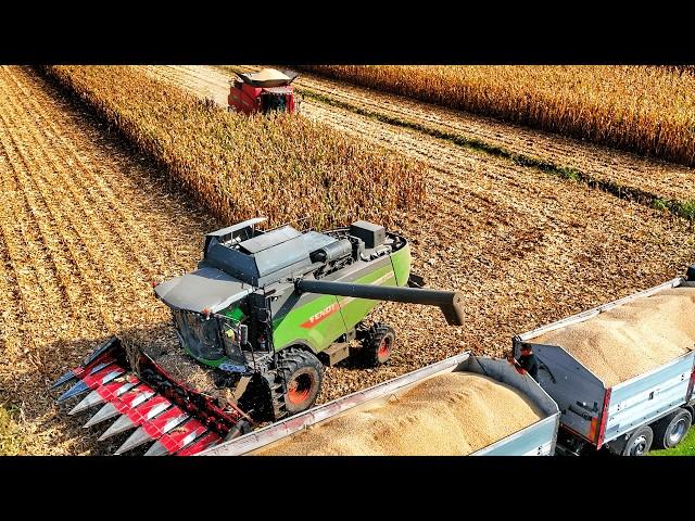 CORN HARVEST 2024 FENDT 6335 CASE IH AXIAL FLOW