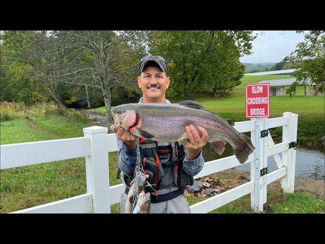 9 lb. 8 oz. Rainbow Trout at Cedar Springs