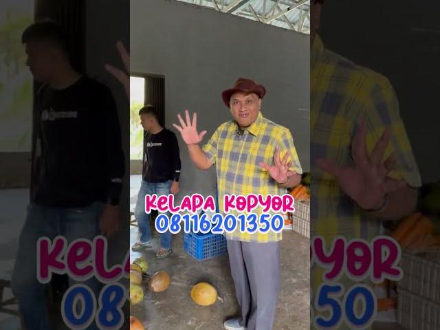 Buah Kelapa Kopyor