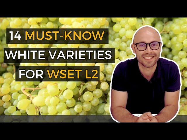 Ace Your WSET Level 2 in Wines Exam: 14 MUST - KNOW White Grape Varieties