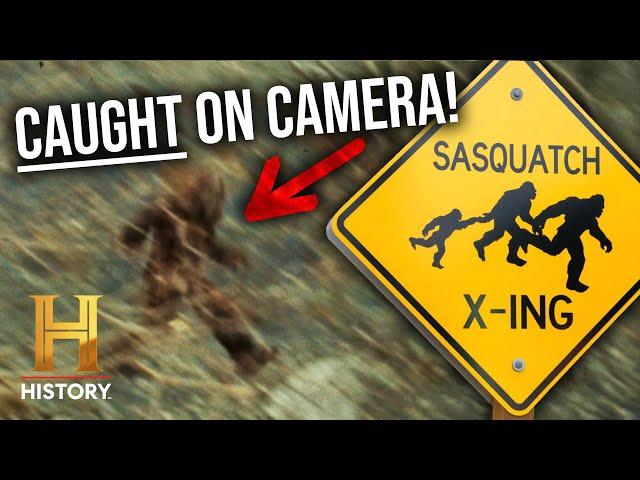Top 13 Bigfoot Sightings Caught On Camera | The Proof Is Out There