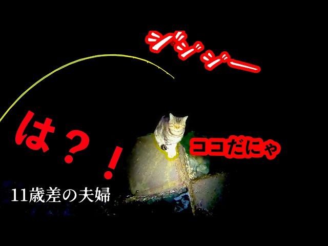 【驚愕の釣り】「こっち」と言う猫について行ったら、魚だらけ!!　そして、大きな魚がいる・・・ヤバい!!!!