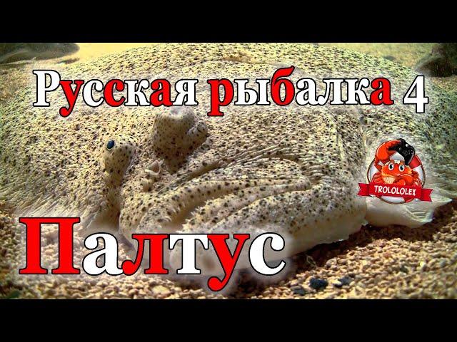 русская рыбалка 4 Гигаджиг на море  Охота на Палтуса