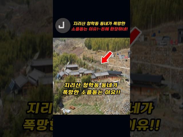 지리산 청학동 동네가 폭망한 소름돋는 이유!!~돈에 환장하네!!
