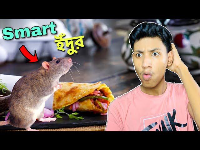 Ata Kemon RAT - RAT SIMULATOR || The Bangla Gamer