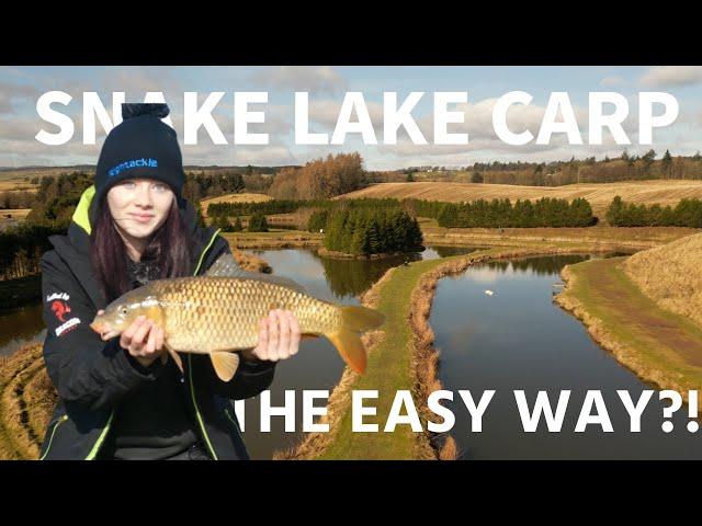 Fishing for snake lake carp in the winter. The easy way?!