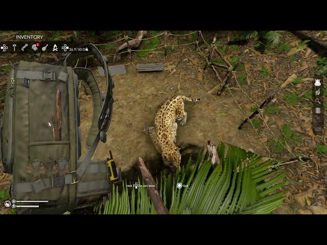 Green Hell - Turns out you can trap a Jaguar in the animal pen..