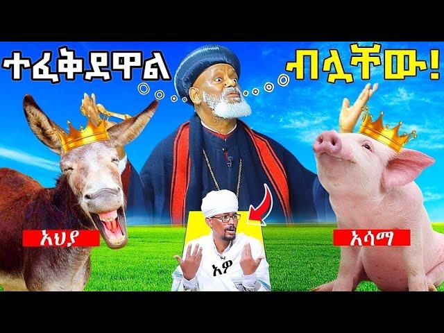  አወዛጋቢው "ጳጳስ"ና የቤ/ን ሊቃውንት ምላሽ | አይጥ፣ አህያ፣ አሳማ በኦርቶዶክስ ተፈቀደ???