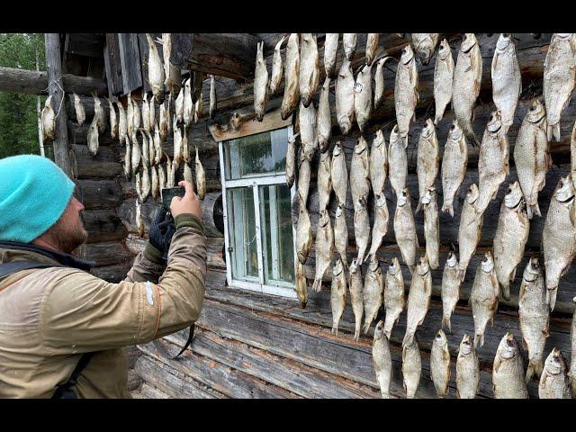 Тым. Путешествие в центр России. Селькупы, самая большая рыба и комары-убийцы