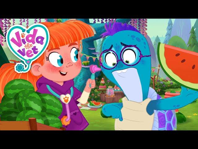 Tidbit's Watermelon Seed Woes + More | Vida the Vet | Animal Cartoons for Kids