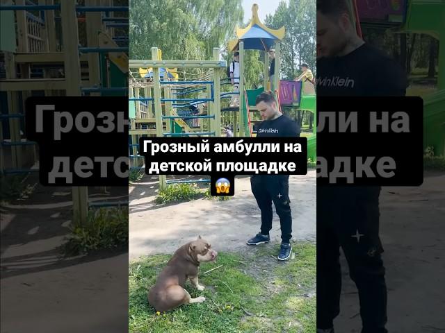 Собака без поводка и намордника наблюдает за детишками!!!