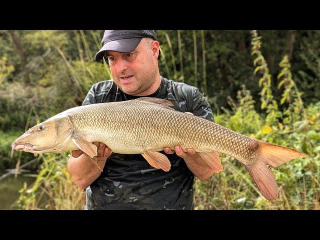 Barbel Fishing Adventure on a Tiny River