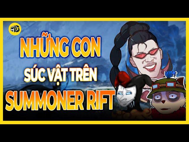 Top Những Con Súc Vật Khiến Bất Kỳ Ai Cũng Phải Ngao Ngán Trên Summoner Rift | Liên Minh Huyền Thoại