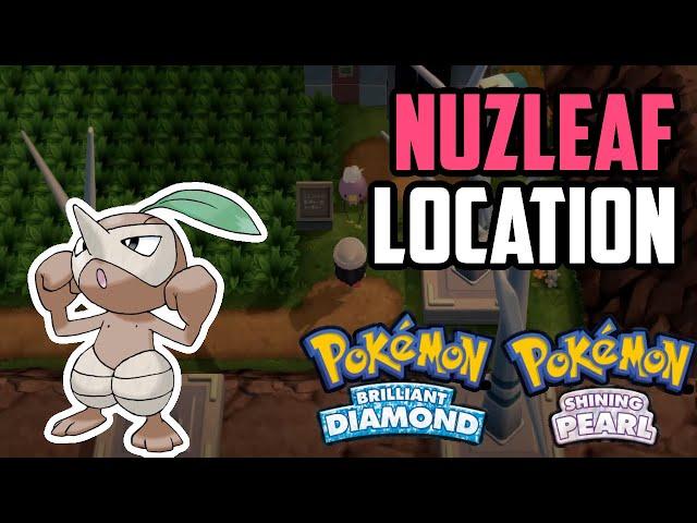 How to Catch Nuzleaf - Pokémon Brilliant Diamond & Shining Pearl