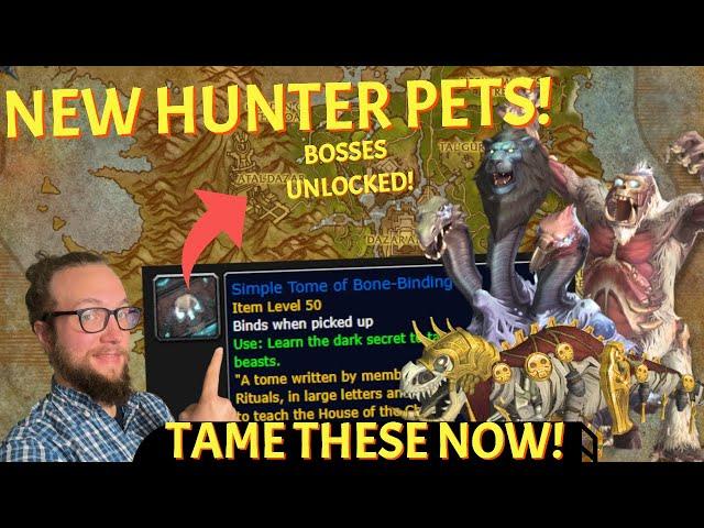 DON'T MISS! New Boss Pets for Hunters UNLOCKED for the War WIthin Prepatch World of Warcraft