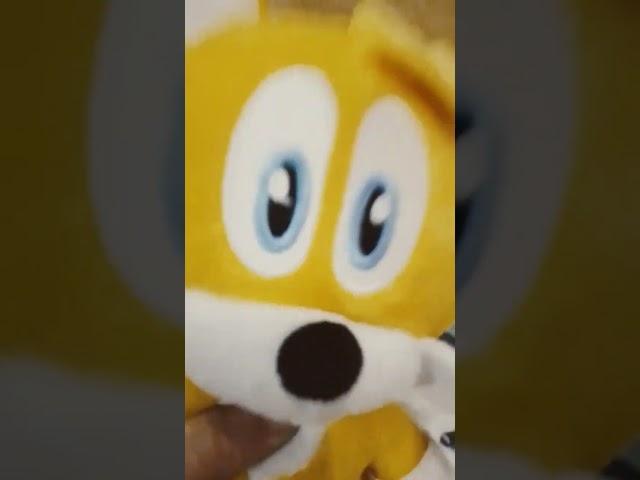 tails goes to the moon