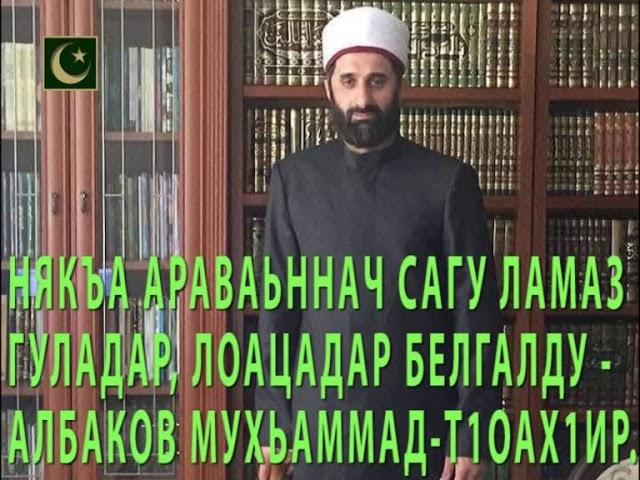 НЯКЪА, АРАВАЬННАЧ САГУ, ЛАМАЗ ГУЛАДАР, ЛОАЦАДАР БЕЛГАЛДУ - АЛБАКОВ МУХЬАММАД-Т1ОАХ1ИРУ.