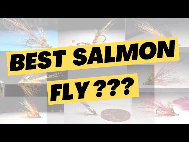 The BEST Salmon Fly EVER!