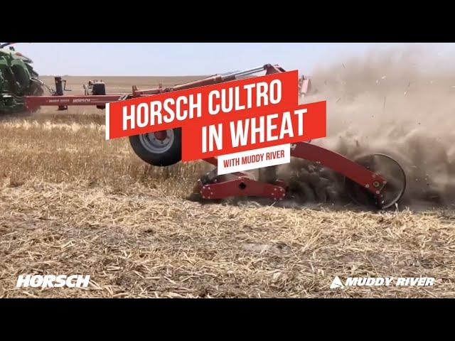 Horsch Cultro in Wheat