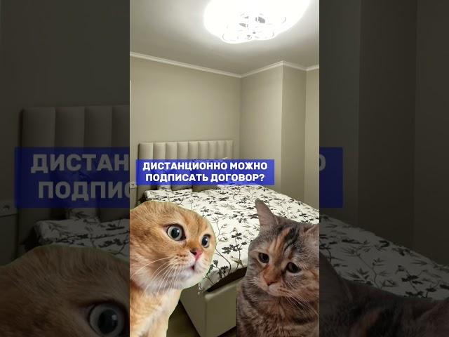 Инвестиции в недвижимость. Флиппинг квартир. Смотри описание ⤵️ #флиппинг #инвестиции #недвижимость