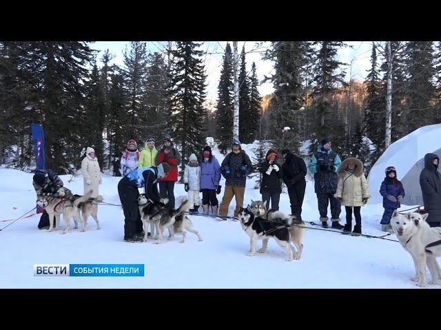 В Шерегеше на Секторе Е отметили День ездовых собак.