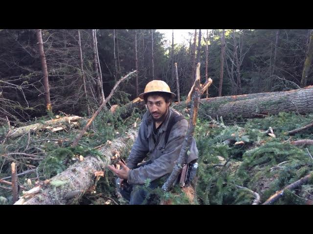 Logger interview #1 Connor Haffner. A younger generation.