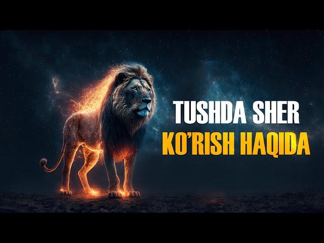 Tushda sher ko’rish haqida? | Ustoz Abdulloh Zufar