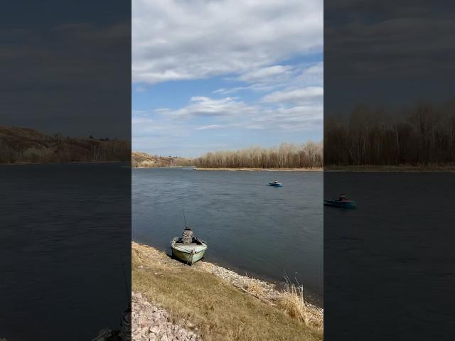 11.04.25️КРАСНОЯРСК️ПОЕЗДКА ЗА ГОРОД️РЫБАЛКА НА ХАРИУСА️#сибирь #рыбалка #енисей #krasnoyarsk