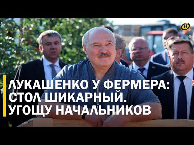 Лукашенко: ЕСЛИ? Поснимаю головы, если не заполните. И НЕ КАРТОШКОЙ!/ В саду у яблочного айтишника