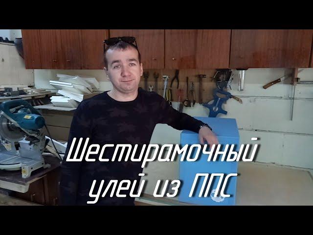 Шестирамочный улей из ППС.