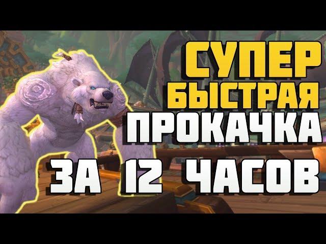 Прокачка 110-120 за 12 часов в Битве за Азерот ! Battle for Azeroth