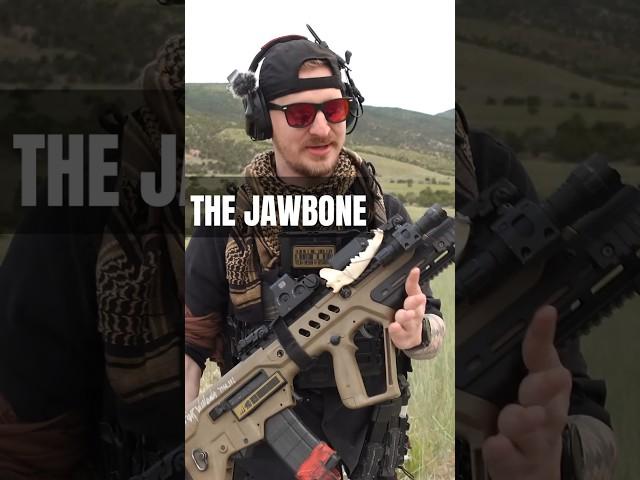 The Jawbone #guns #shorts #tactical #gun #funny #shooting #pewpew #pistol #glock