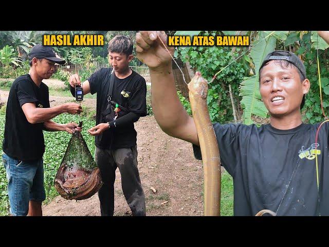 MANCING BELUT HARI INI BENER - BENER SANGAT LUAR BIASA