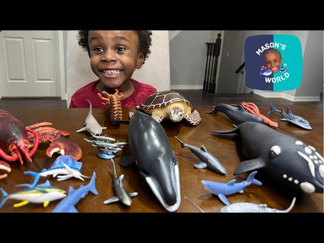 Sea Animals Collection - Lobster, Squid,  Shark Ray, Bowhead Whale, Sea Turtle, Nurse Shark,Ammonite