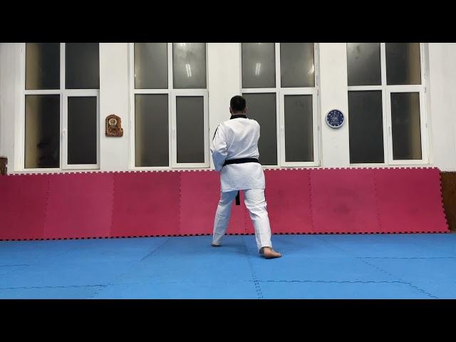 Пумсе 1 - Тегук ил джанг / Poomsae 1 - Taeguk Il Jang