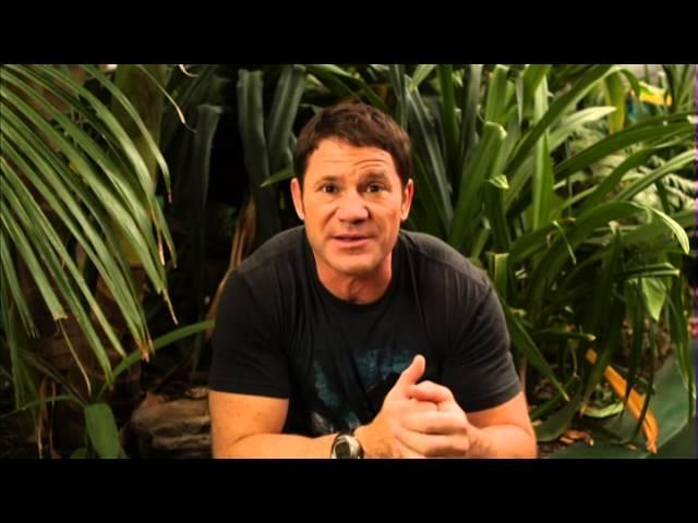 *YouTube Exclusive* Steve Backshall on the world's deadliest snake | Deadly 60 in Australia